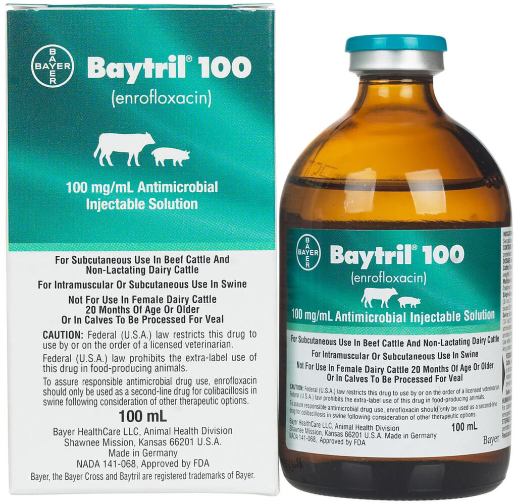 Baytril 100 is an oral or injectable antimicrobial drug with a broad